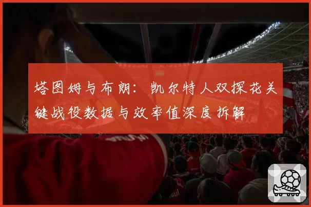 塔图姆与布朗：凯尔特人双探花关键战役数据与效率值深度拆解