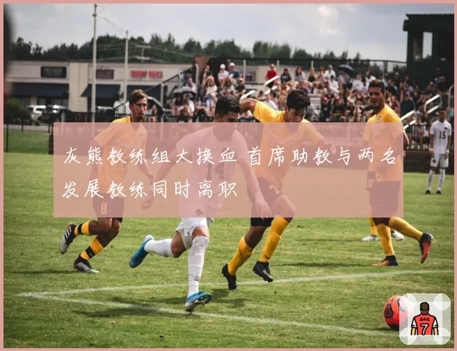 灰熊教练组大换血 首席助教与两名发展教练同时离职