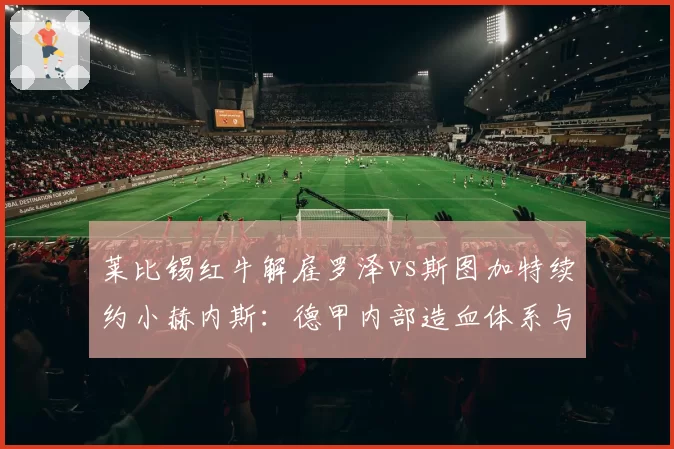 莱比锡红牛解雇罗泽vs斯图加特续约小赫内斯:德甲内部造血体系与教练培养模式对比