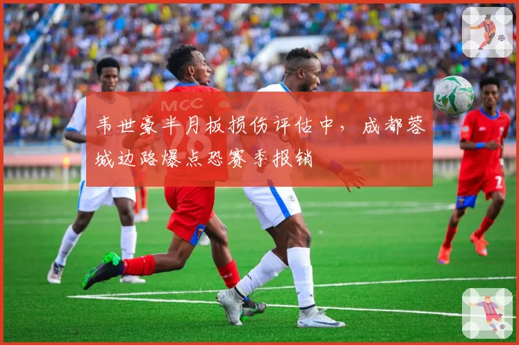 韦世豪半月板损伤评估中，成都蓉城边路爆点恐赛季报销