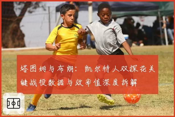 塔图姆与布朗：凯尔特人双探花关键战役数据与效率值深度拆解