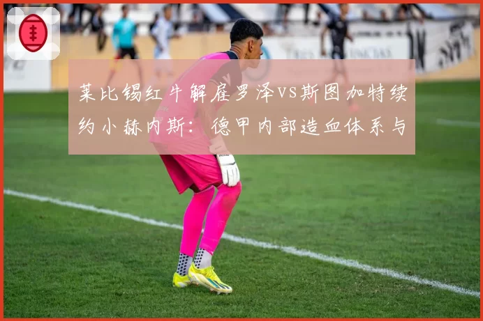 莱比锡红牛解雇罗泽vs斯图加特续约小赫内斯:德甲内部造血体系与教练培养模式对比