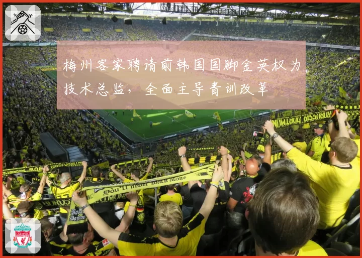 梅州客家聘请前韩国国脚金英权为技术总监,全面主导青训改革